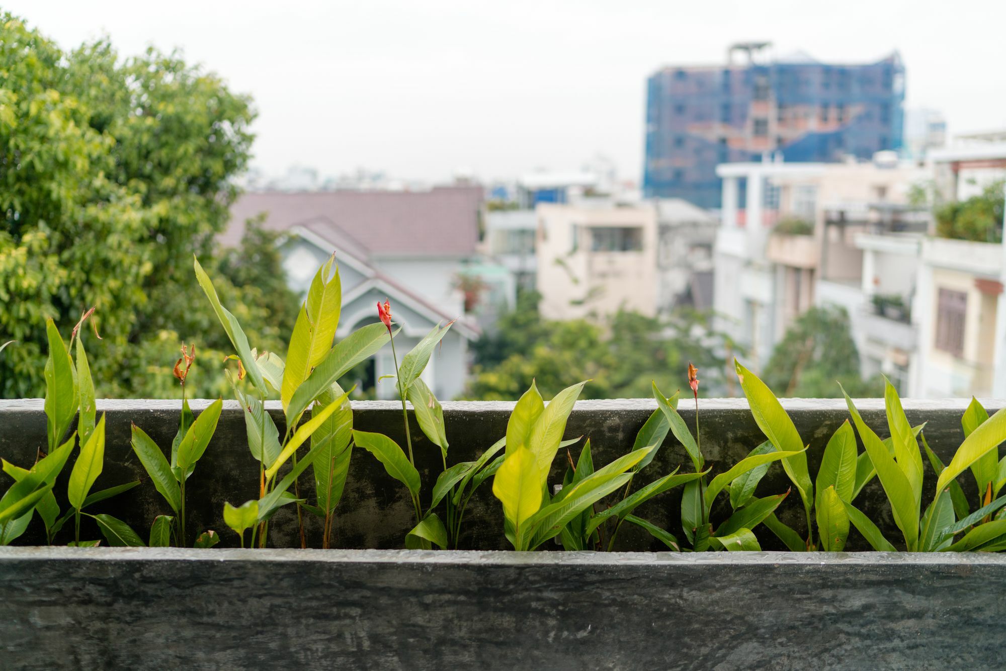 Iam Saigon Homestay Ho Chi Minh-staden Exteriör bild